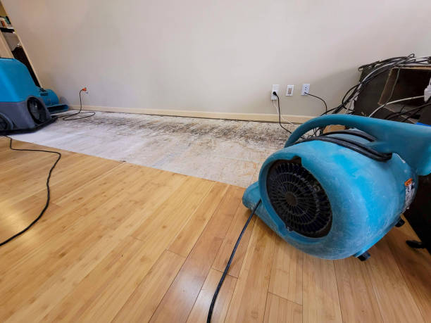 Professional Burst Pipe Water Damage technician working in Dennis, MA